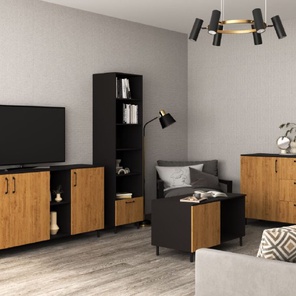 Мебель для гостиной. Артикул № 500